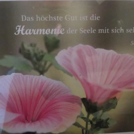 Appartement Annenruhe